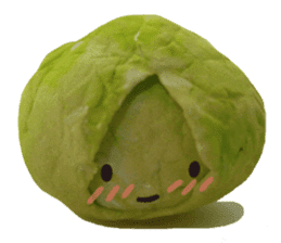 It's a cabbage! sticker #722599