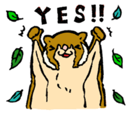 Pretty animals of the forest sticker #722992