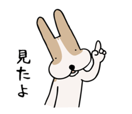 my dog KOTARO  2 sticker #724570