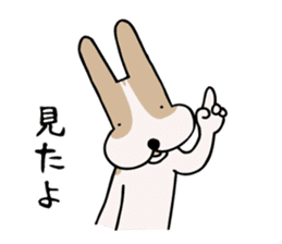 my dog KOTARO 2 sticker #724570