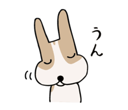 my dog KOTARO 2 sticker #724572