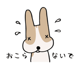 my dog KOTARO 2 sticker #724573