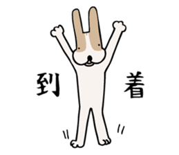 my dog KOTARO 2 sticker #724584