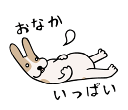 my dog KOTARO  2 sticker #724591