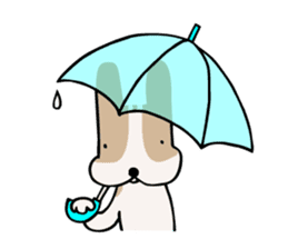 my dog KOTARO 2 sticker #724593