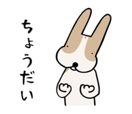 my dog KOTARO 2 sticker #724600