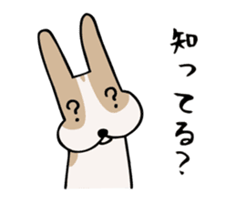 my dog KOTARO 2 sticker #724601