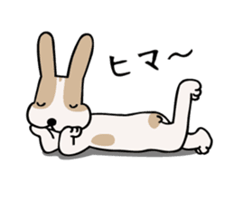 my dog KOTARO 2 sticker #724602