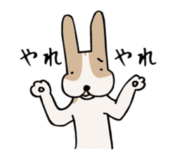 my dog KOTARO 2 sticker #724603