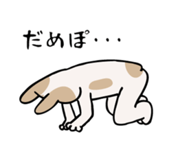 my dog KOTARO  2 sticker #724604