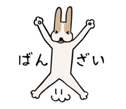 my dog KOTARO  2 sticker #724606