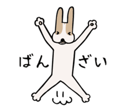 my dog KOTARO 2 sticker #724606