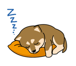 Japanese Shiba Inu sticker #724691