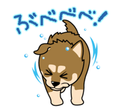 Japanese Shiba Inu sticker #724692