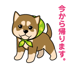 Japanese Shiba Inu sticker #724723
