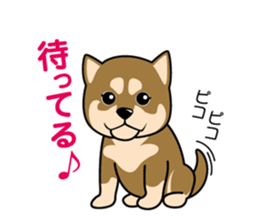 Japanese Shiba Inu sticker #724726