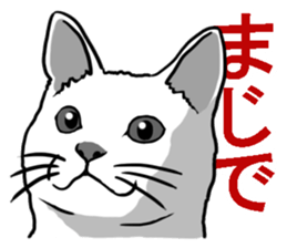 [MAJIDE]cats sticker #726282