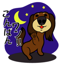 toypoodle Kuuta & Dachshund Ume sticker #727745