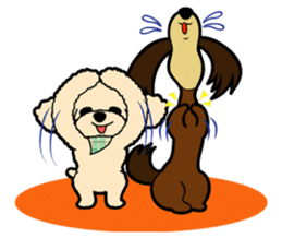 toypoodle Kuuta & Dachshund Ume sticker #727747