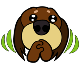 toypoodle Kuuta & Dachshund Ume sticker #727750