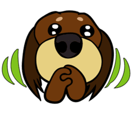 toypoodle Kuuta & Dachshund Ume sticker #727750
