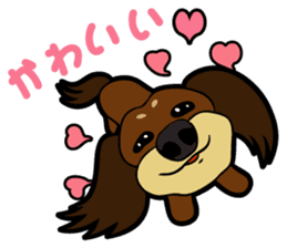 toypoodle Kuuta & Dachshund Ume sticker #727752