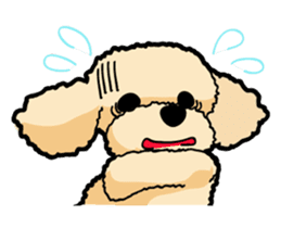 toypoodle Kuuta & Dachshund Ume sticker #727755