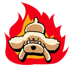 toypoodle Kuuta & Dachshund Ume sticker #727758