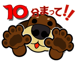 toypoodle Kuuta & Dachshund Ume sticker #727760
