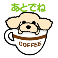 toypoodle Kuuta & Dachshund Ume sticker #727762