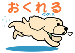 toypoodle Kuuta & Dachshund Ume sticker #727763