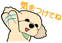 toypoodle Kuuta & Dachshund Ume sticker #727764