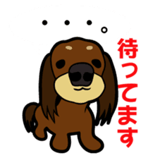 toypoodle Kuuta & Dachshund Ume sticker #727765