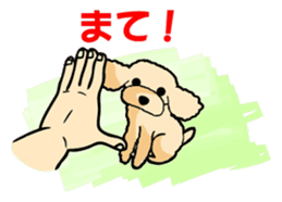 toypoodle Kuuta & Dachshund Ume sticker #727766