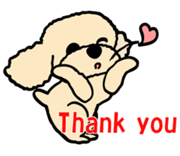 toypoodle Kuuta & Dachshund Ume sticker #727767