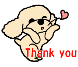 toypoodle Kuuta & Dachshund Ume sticker #727767