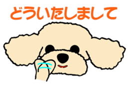 toypoodle Kuuta & Dachshund Ume sticker #727769