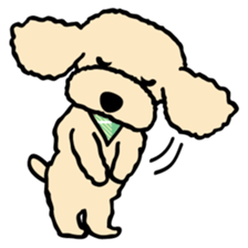 toypoodle Kuuta & Dachshund Ume sticker #727770