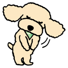 toypoodle Kuuta & Dachshund Ume sticker #727770