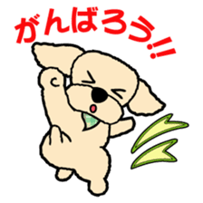 toypoodle Kuuta & Dachshund Ume sticker #727771