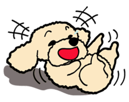 toypoodle Kuuta & Dachshund Ume sticker #727774