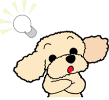 toypoodle Kuuta & Dachshund Ume sticker #727777