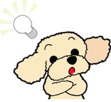 toypoodle Kuuta & Dachshund Ume sticker #727777