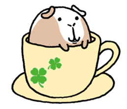 guinea pig stamp sticker #729347