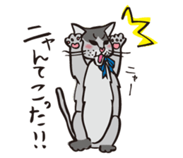 Your NYAKO sticker #729797