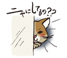 Your NYAKO sticker #729803