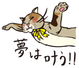 Your NYAKO sticker #729819