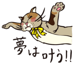 Your NYAKO sticker #729819