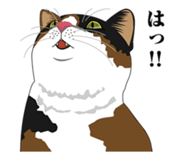 MIKE realistic face of cat2 sticker #729840