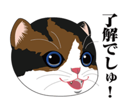 MIKE realistic face of cat2 sticker #729854